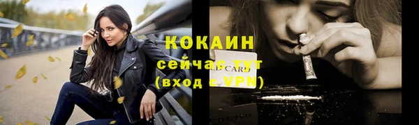 винт Козельск
