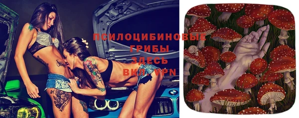 винт Козельск