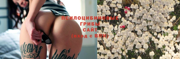 винт Козельск