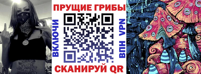 mega рабочий сайт  Шарья  Галлюциногенные грибы ЛСД 